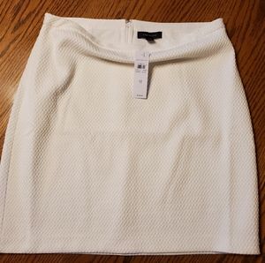 Ann Taylor Skirt